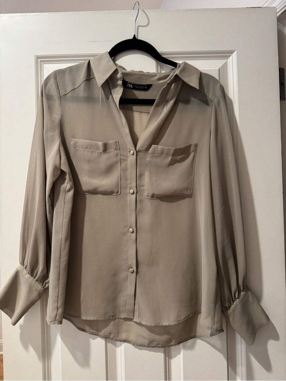 ZARA Taupe Sheer Long-Sleeve Button Blouse